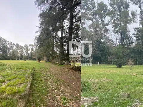 Terreno en Venta 42  mts Fondo