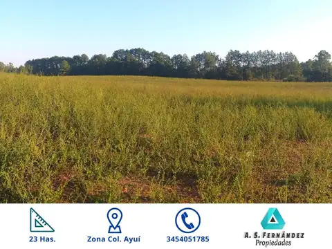 22.5 Has. CAMPO ARENOSO PROFUNDO 