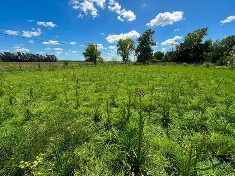 Terreno en Venta 48  mts Fondo