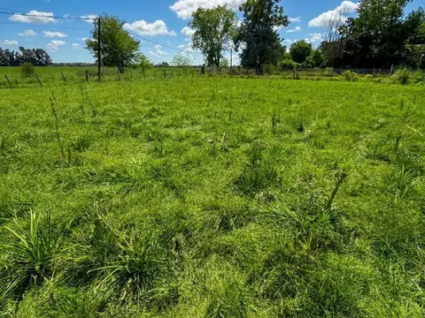 Terreno en Venta 32  mts Frente
