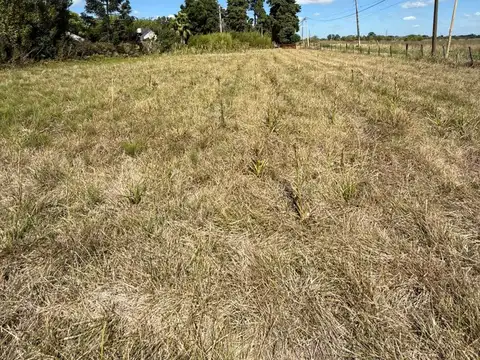 Terreno en Venta 48  mts Fondo