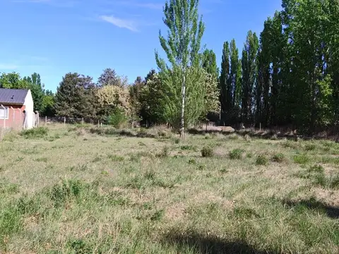Terreno en Venta en Plottier, USD 70.000