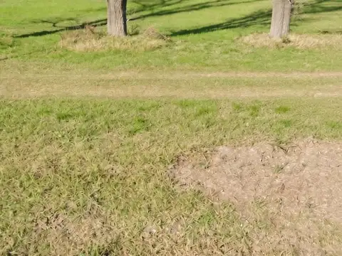 Terreno en venta en Nuevo Torino
