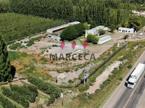GalpÃ³n - Alquiler - Argentina, Allen - Ruta 22 kmt 