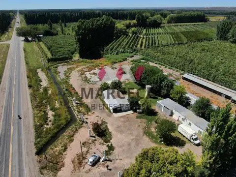 Ruta 22 kmt 1198 1100