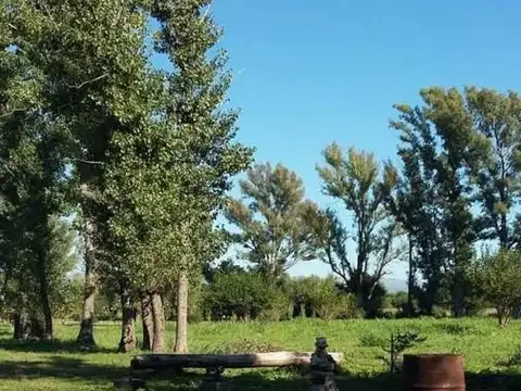 San Martin 800