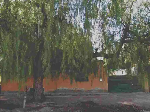 8 HECTÁREAS SOBRE CALLE SAN MARTIN EN LAS HERAS