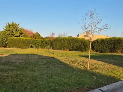 Terreno en Venta 29  mts Frente