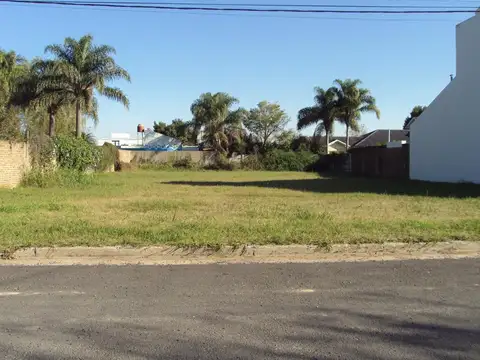 Rivadavia 100