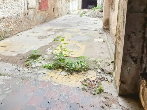 Avenida Pedro De Mendoza 1500