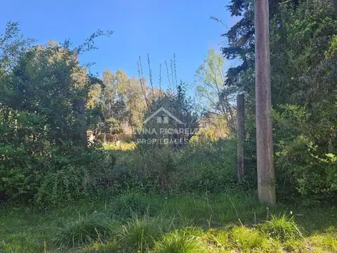 LOTE DE 1000 M2 EN PARQUE EXALTACION 100