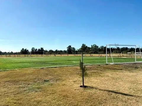 Avenida Arturo Illia 100