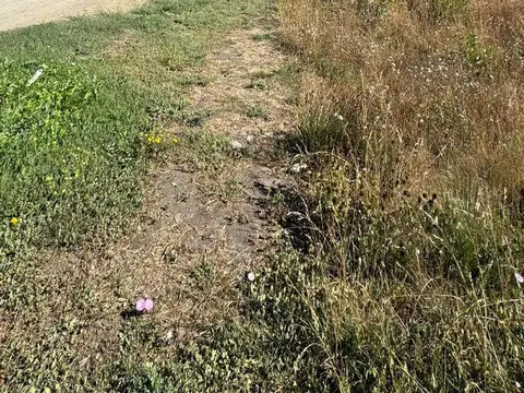Terreno en Venta de 695,0 m2