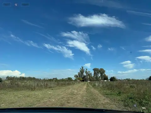 campo
