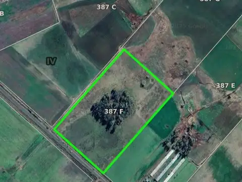 Venta Chacra 14 Hectareas en Del Carril, Saladillo