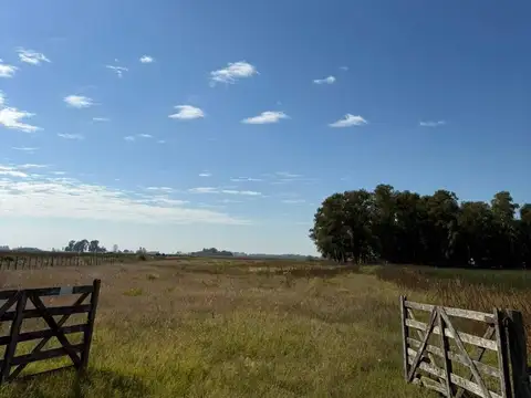Venta Chacra 14 Hectareas en Del Carril, Saladillo