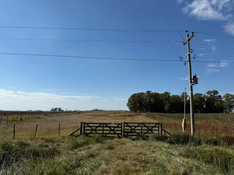 Venta Chacra 14 Hectareas en Del Carril, Saladillo