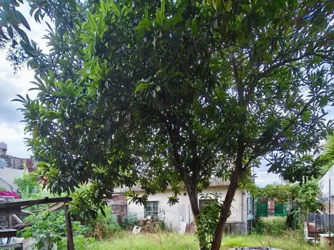 Terreno en Venta de 255,0 m2