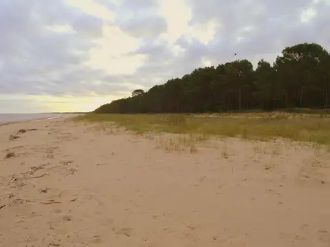 VENTA TERRENO 32 HECTÁREAS - BRISAS DEL PLATA COLONIA URUGUAY FRENTE AL RÍO DE LA PLATA - PERMUTA