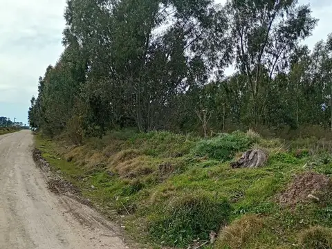 4.5 HECTARIAS EN VENTA EN VILLA GARIBALDI
