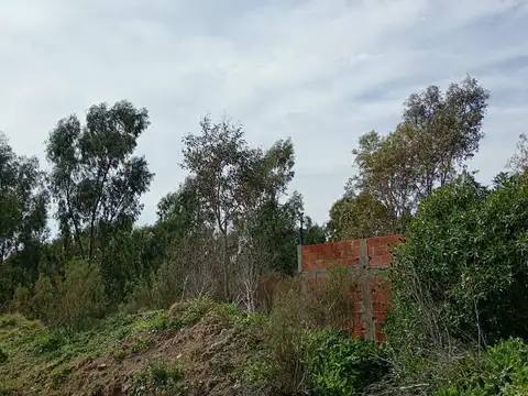 4.5 HECTARIAS EN VENTA EN VILLA GARIBALDI