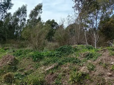 4.5 HECTARIAS EN VENTA EN VILLA GARIBALDI