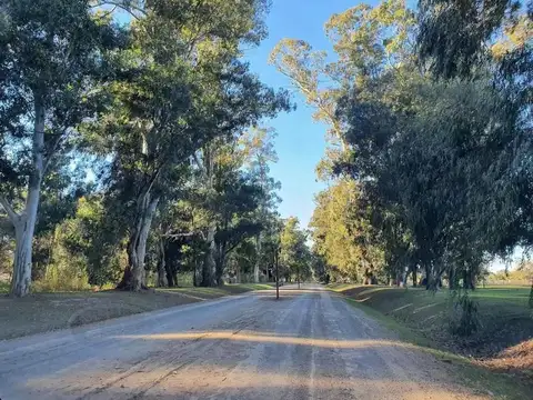 Terreno en Venta 43  mts Frente