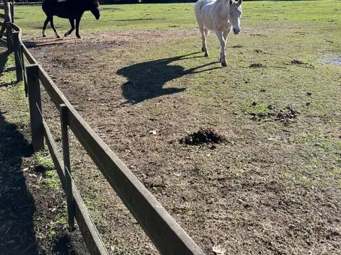 Terreno en Venta en San Miguel Del Monte, USD 68.000