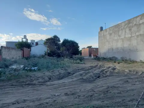 roldan 100