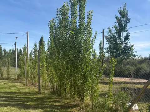 Ruta 22 y Autovía Norte  - Barrio Las Lagunas - Plottier