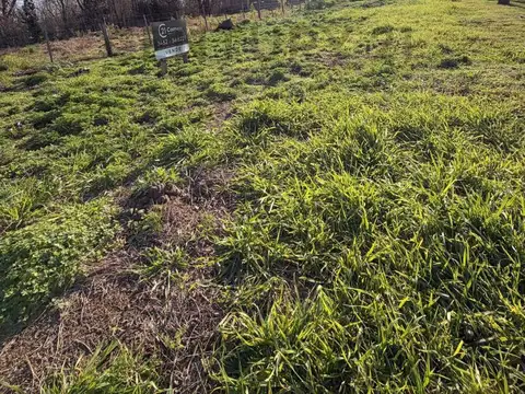 Terreno en Venta 60  mts Fondo