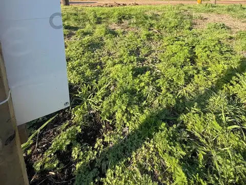 Terreno en Venta de 600,0 m2