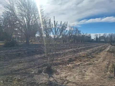 Terreno en Venta en Buen Orden, USD 18.000