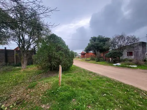 BARRIO VINELLI