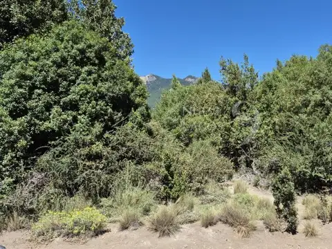 Meliquina, lote 8 de la manzana F1