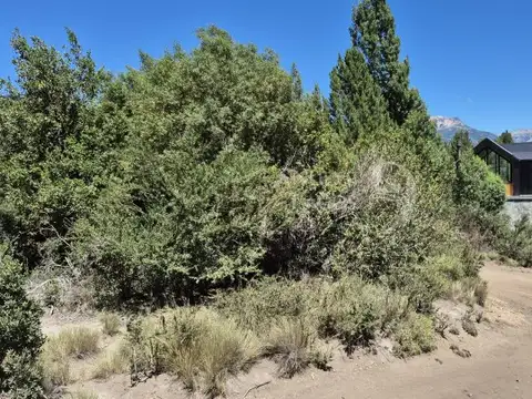 Venta de lote soleado con vegetación en Villa Lago Meliquina