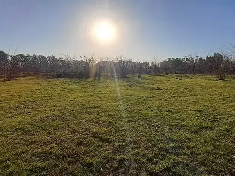 VENTA  1/2 HECTAREA EN ECHEGOYEN, EXALTACION DE LA CRUZ 100