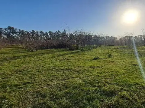 Terreno en Venta de 5040,0 m2