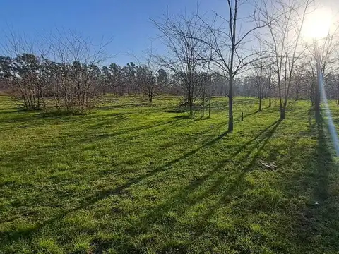 Terreno en Venta en Exaltacion de la Cruz, USD 65.000