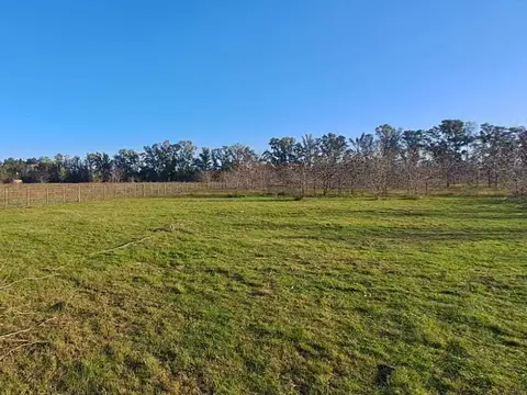 VENTA  1/2 HECTAREA EN ECHEGOYEN, EXALTACION DE LA CRUZ 100