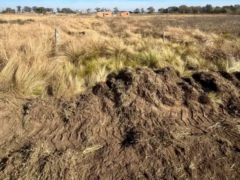 Terreno Dr. Sanchez - Anguil