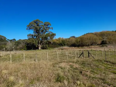 Terreno en Venta 83  mts Fondo