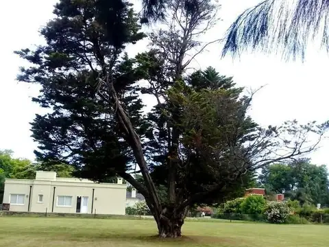 La Otilia 800