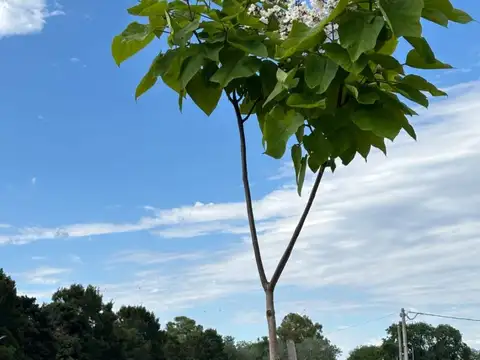 Terreno en Venta en Carlos Spegazzini, USD 23.840