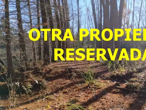 Terreno Lote  en Venta en Carabelas Grande, Zona Delta, San Fernando