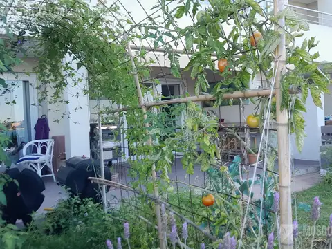 Departamento en Alquiler con 2 cocheras