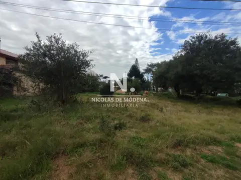 Terreno en Venta 29  mts Fondo