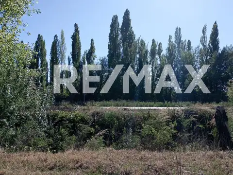 VENTA DE CHACRA EN CIPOLLETI SOBRE RUTA 151