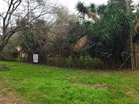 Terreno arbolado en Villa La Ribera cerca del río