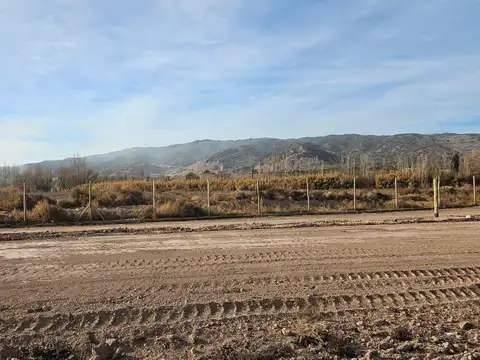 Terreno en Venta 20  mts Frente
